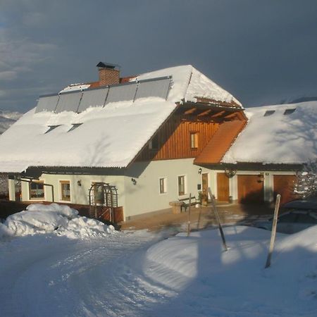 Haus Schober Apartment Windischgarsten Bagian luar foto