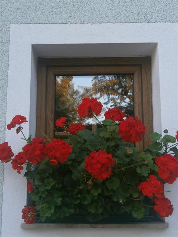 Haus Schober Apartment Windischgarsten Bagian luar foto